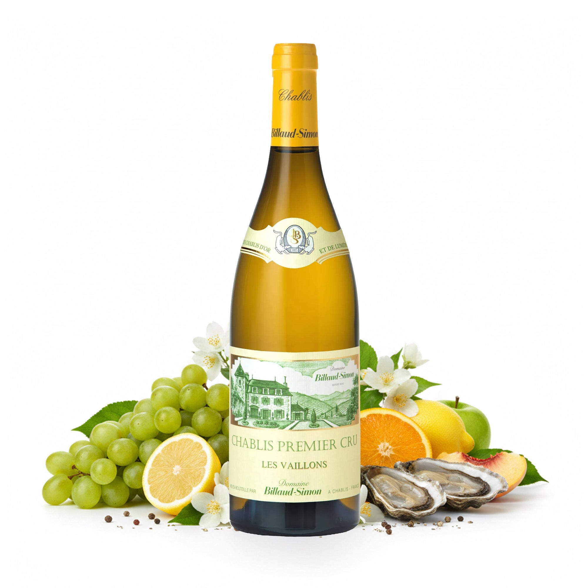 2021 Domaine Billaud-Simon Les Vaillons - France
