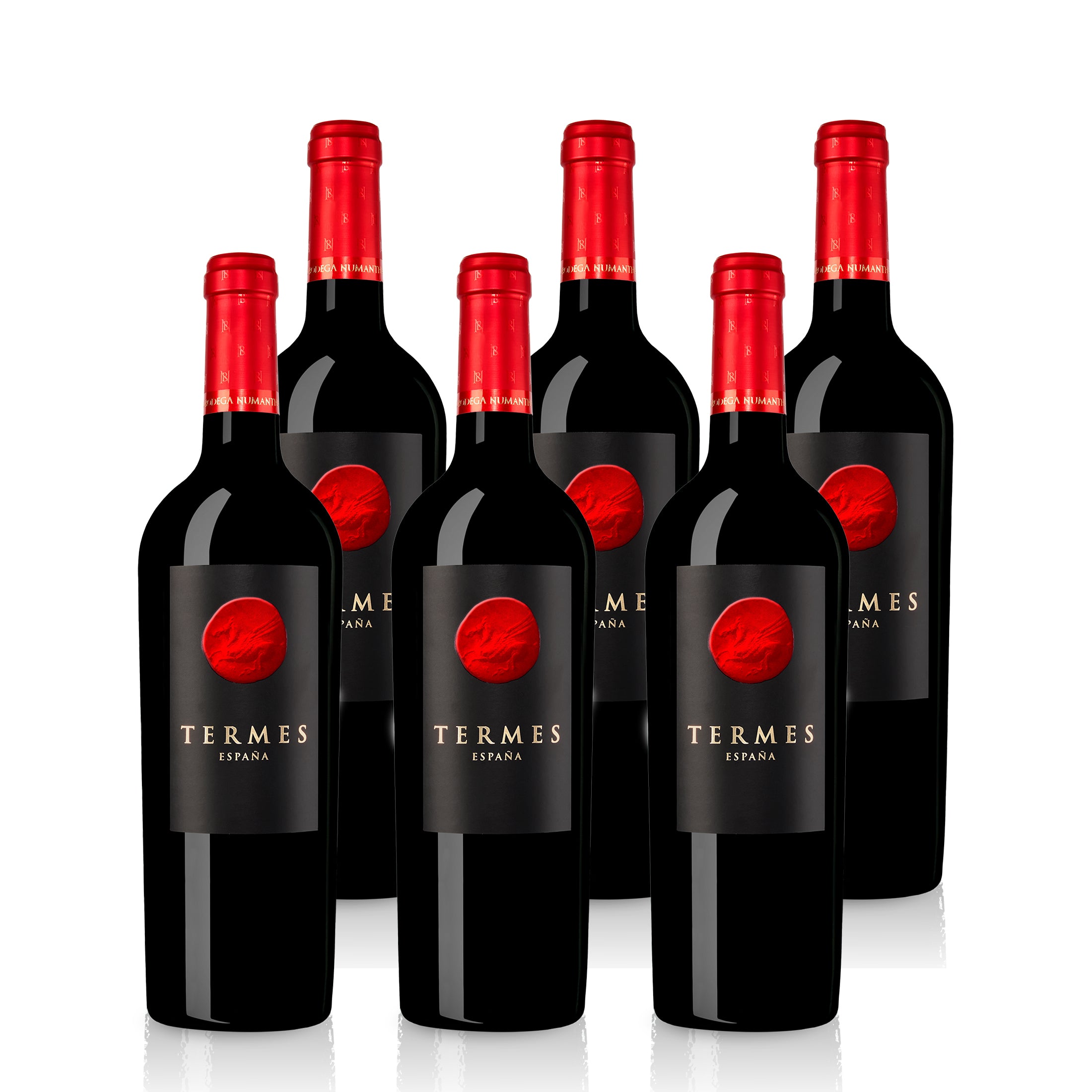 2020 Bodega Numanthia Termes - Spanien