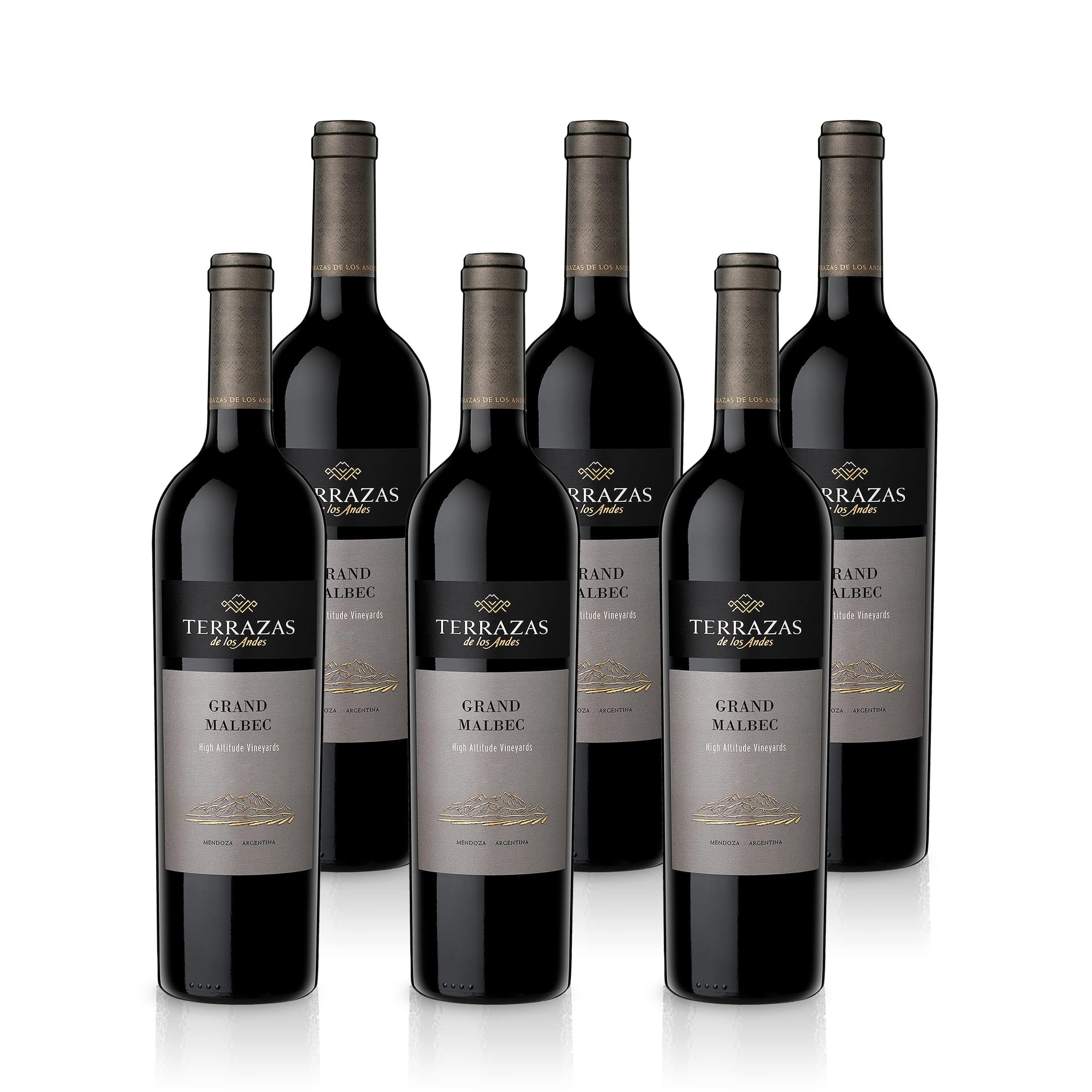 2020 Terrazas De Los Andes Grand Malbec