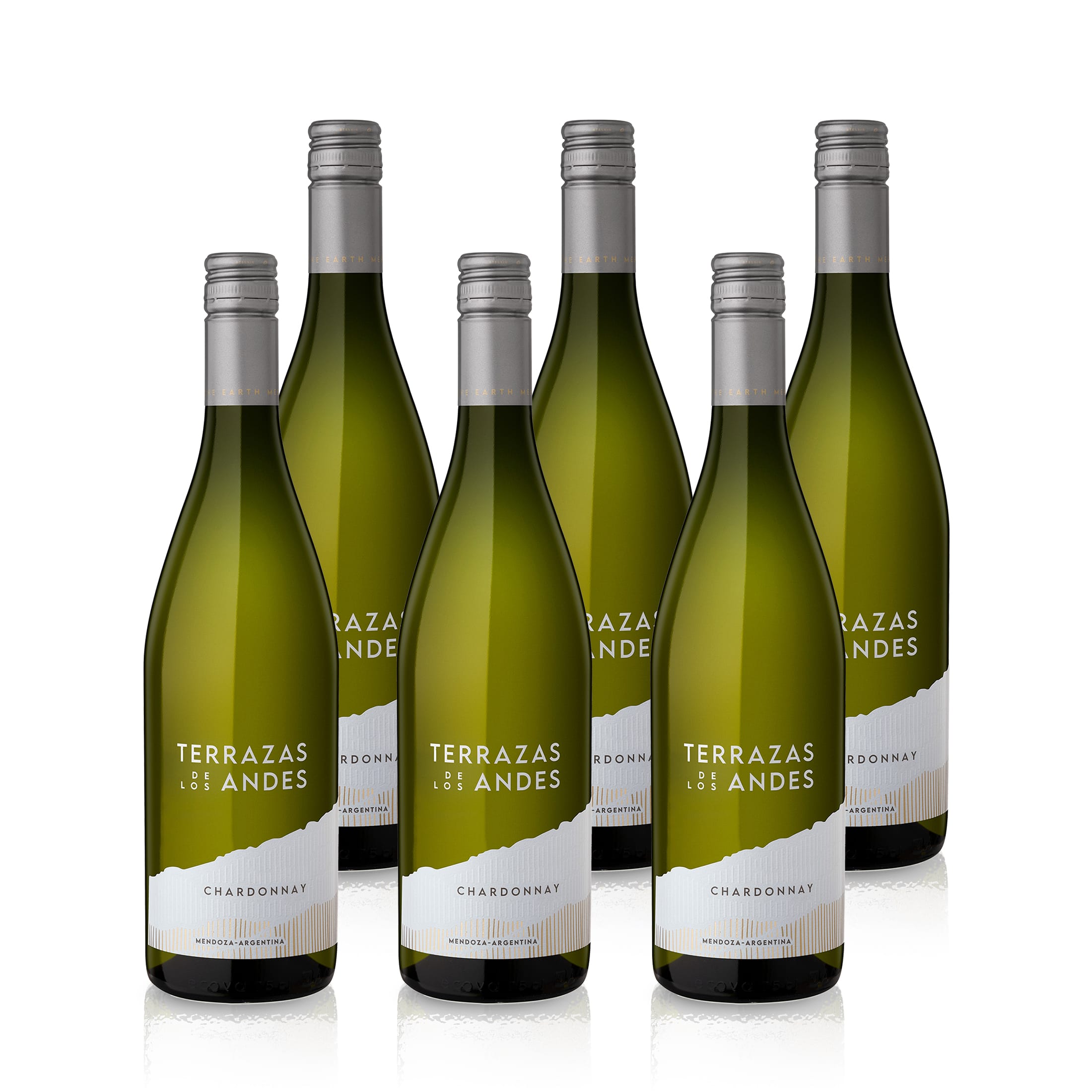 2023 Terrazas de los Andes Chardonnay - Argentinien