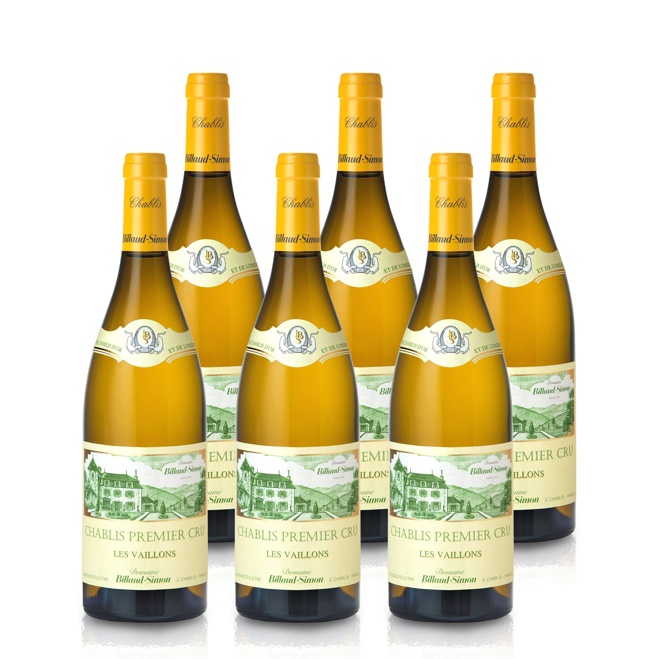 2021 Domaine Billaud-Simon Les Vaillons - France
