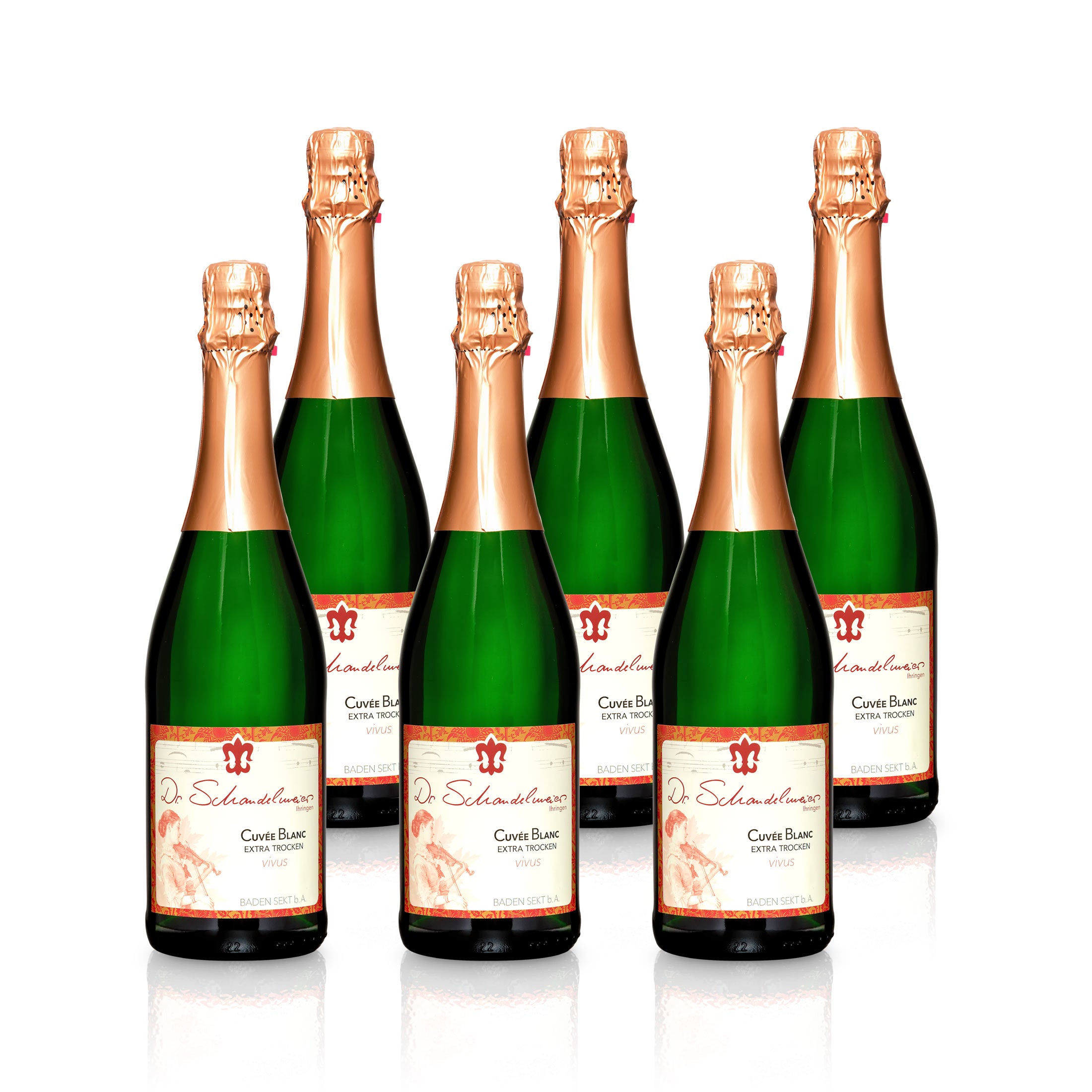 Sparkling Wine Cuvée Blanc extra-dry - Dr. Schandelmeier Winery