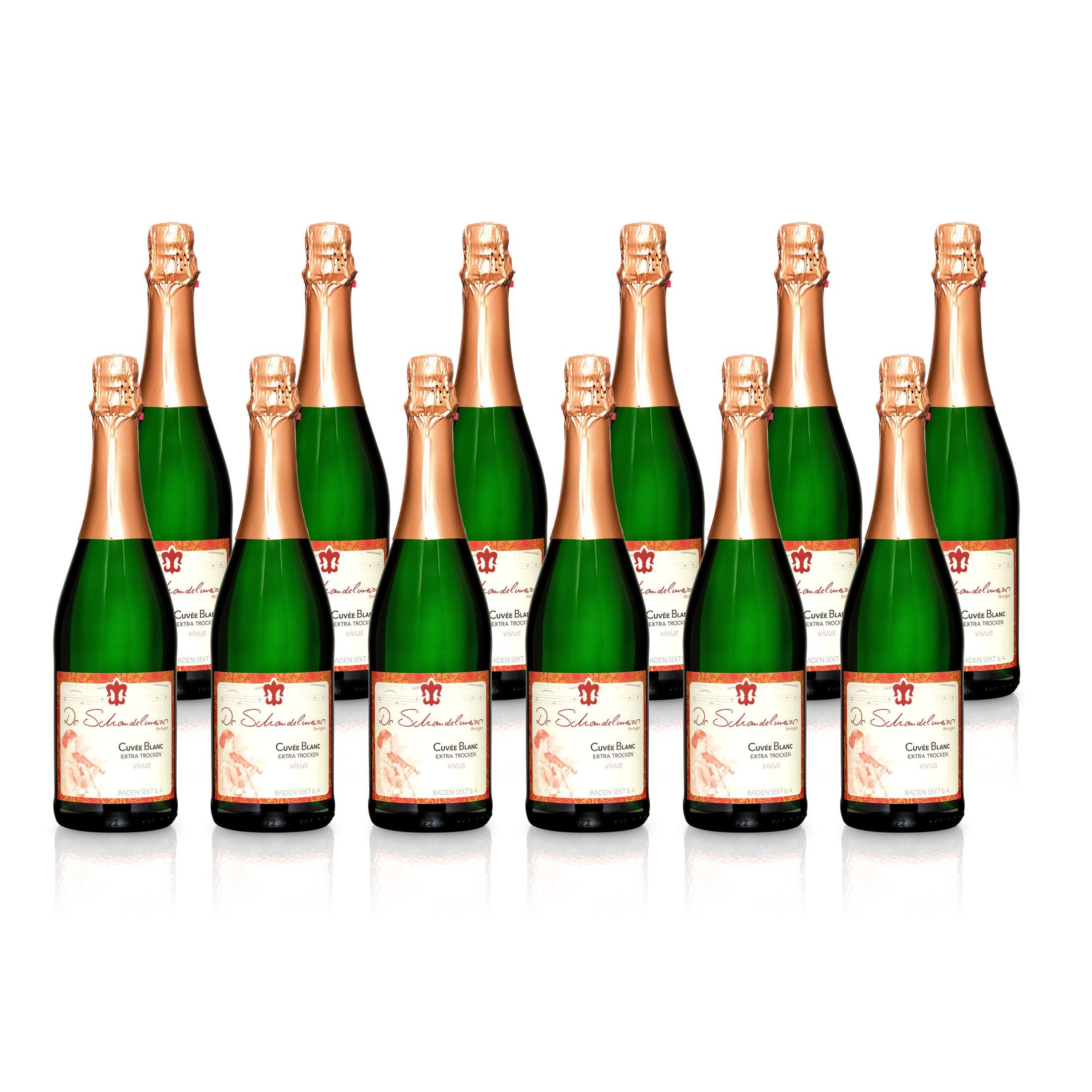 Sparkling Wine Cuvée Blanc extra-dry - Dr. Schandelmeier Winery