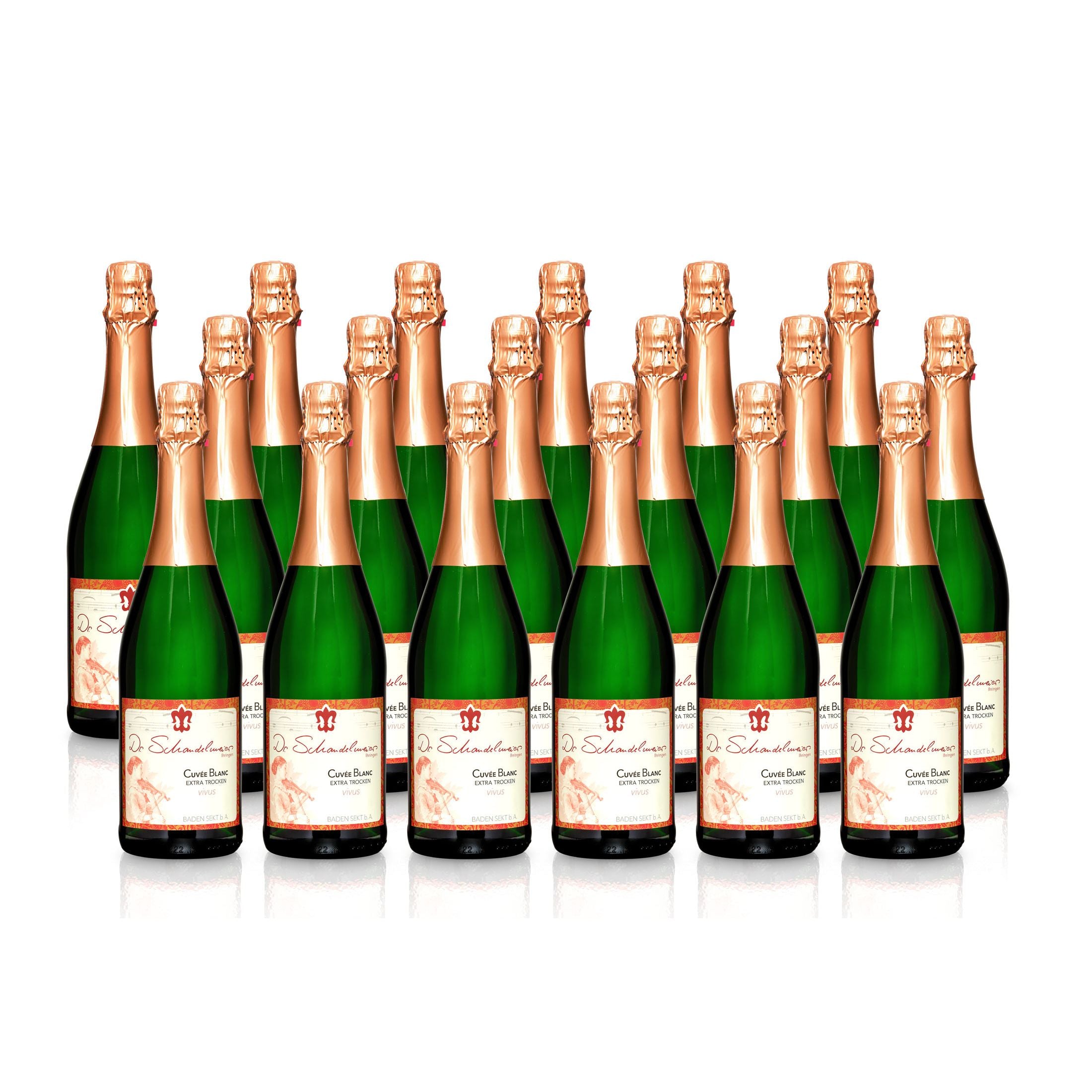 Sparkling Wine Cuvée Blanc extra-dry - Dr. Schandelmeier Winery
