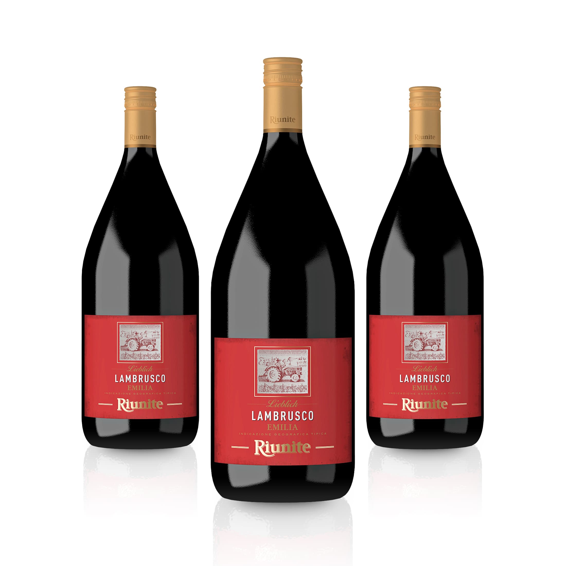 Lambrusco Dolce Rosso IGT Magnum - Cantine Riunite