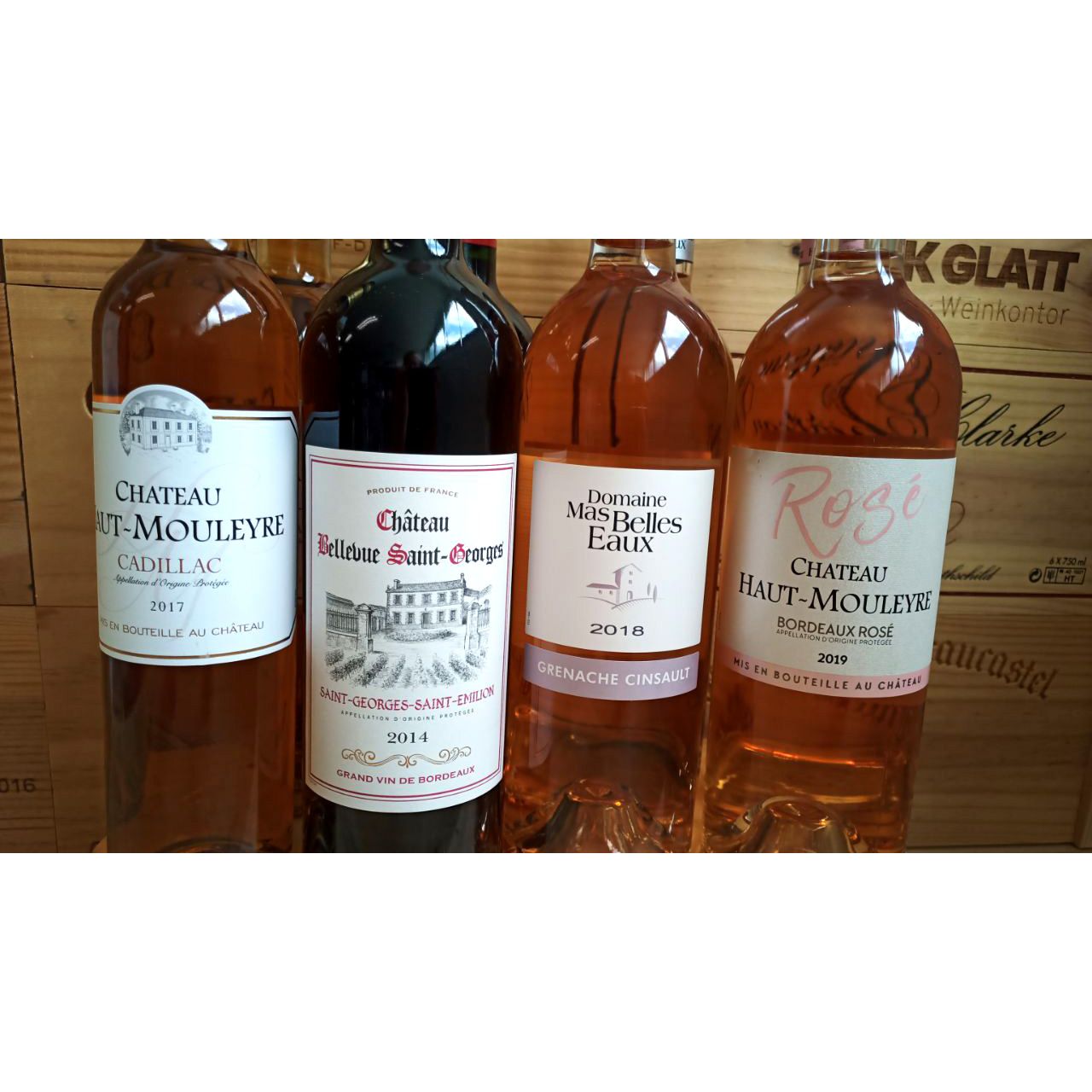 Feinste Weine - Weinselektion 9er Frankreich - Bordeaux / Languedoc Restposten #5