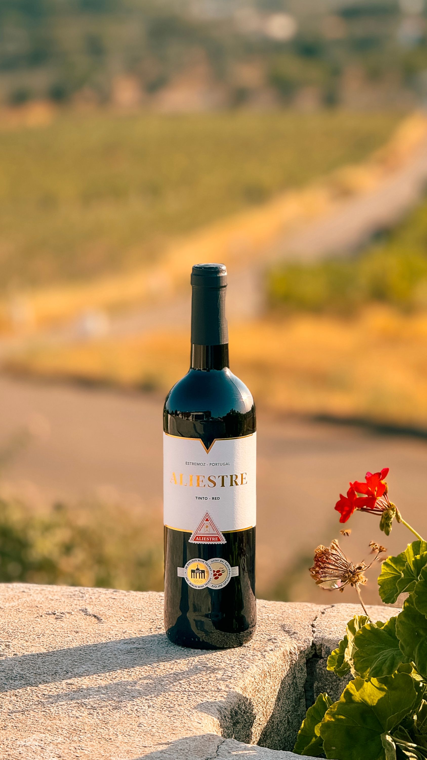 Aliestre Red 2022 (DOC)