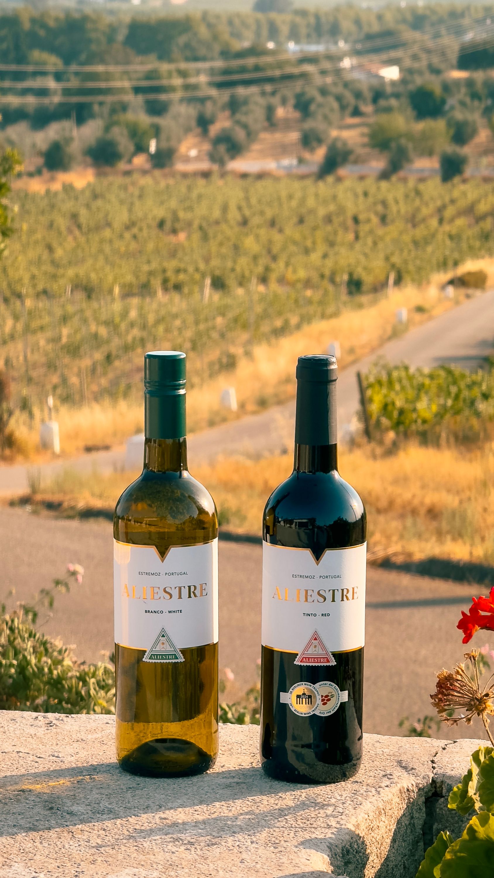 Aliestre Red 2022 (DOC)