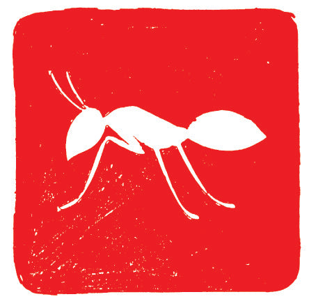 2019 Fourmi Rouge trocken - Côtes du Ventoux - Bag-in-Box 3L