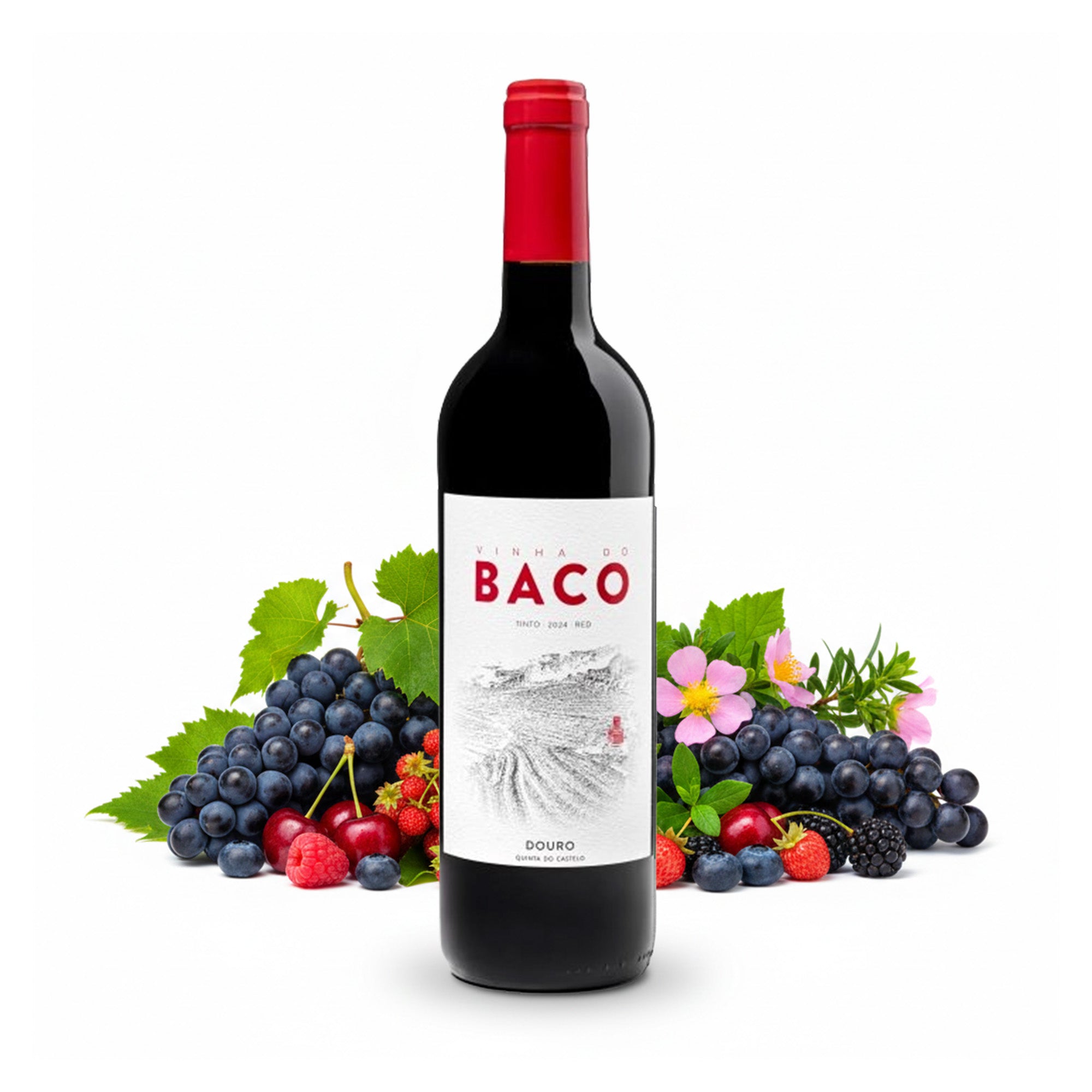 BACO Tinto Red Wine Fruity Harmonious 13% vol 0.75 L