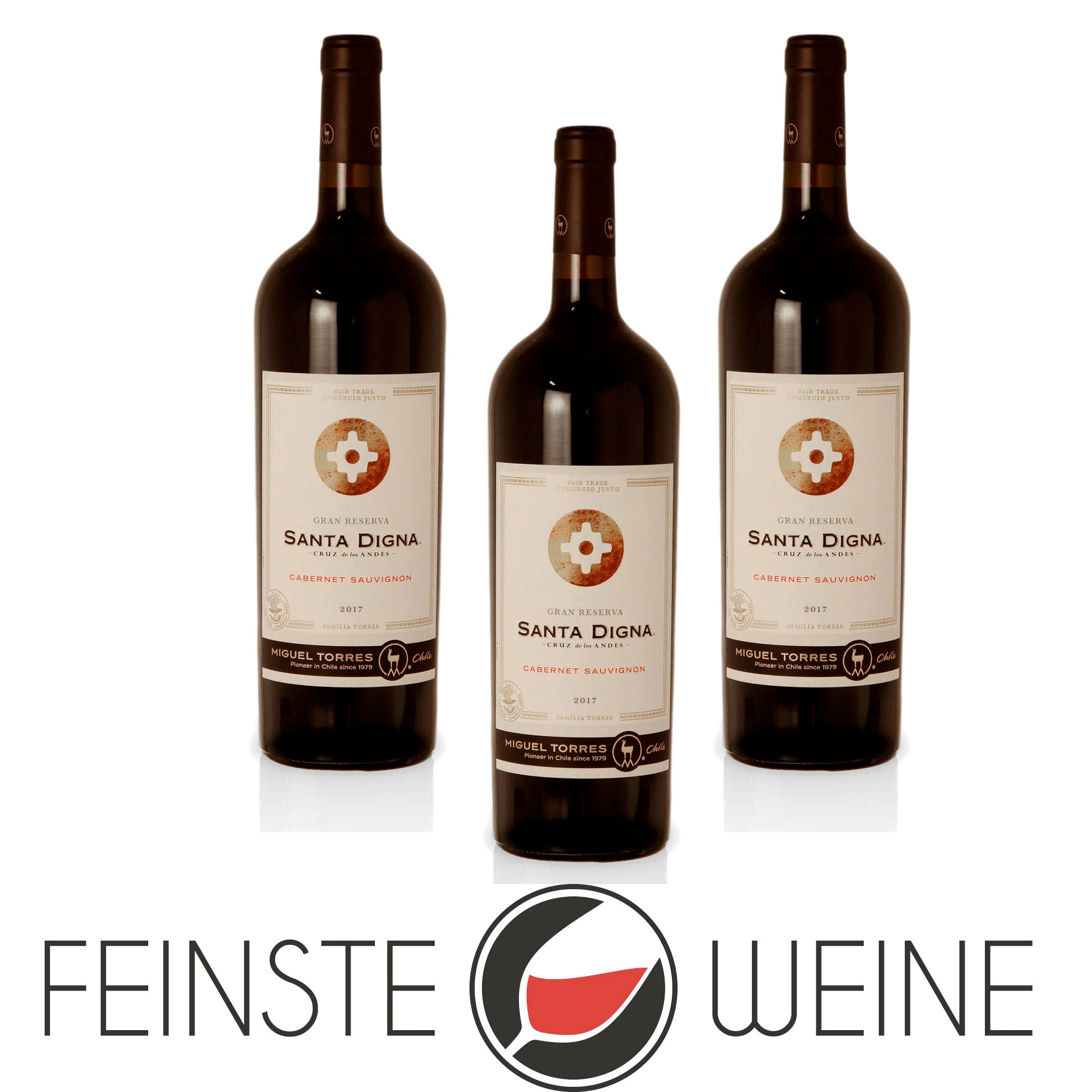 2017 Santa Digna Cabernet Sauvignon Reserve Magnum - Miguel Torres