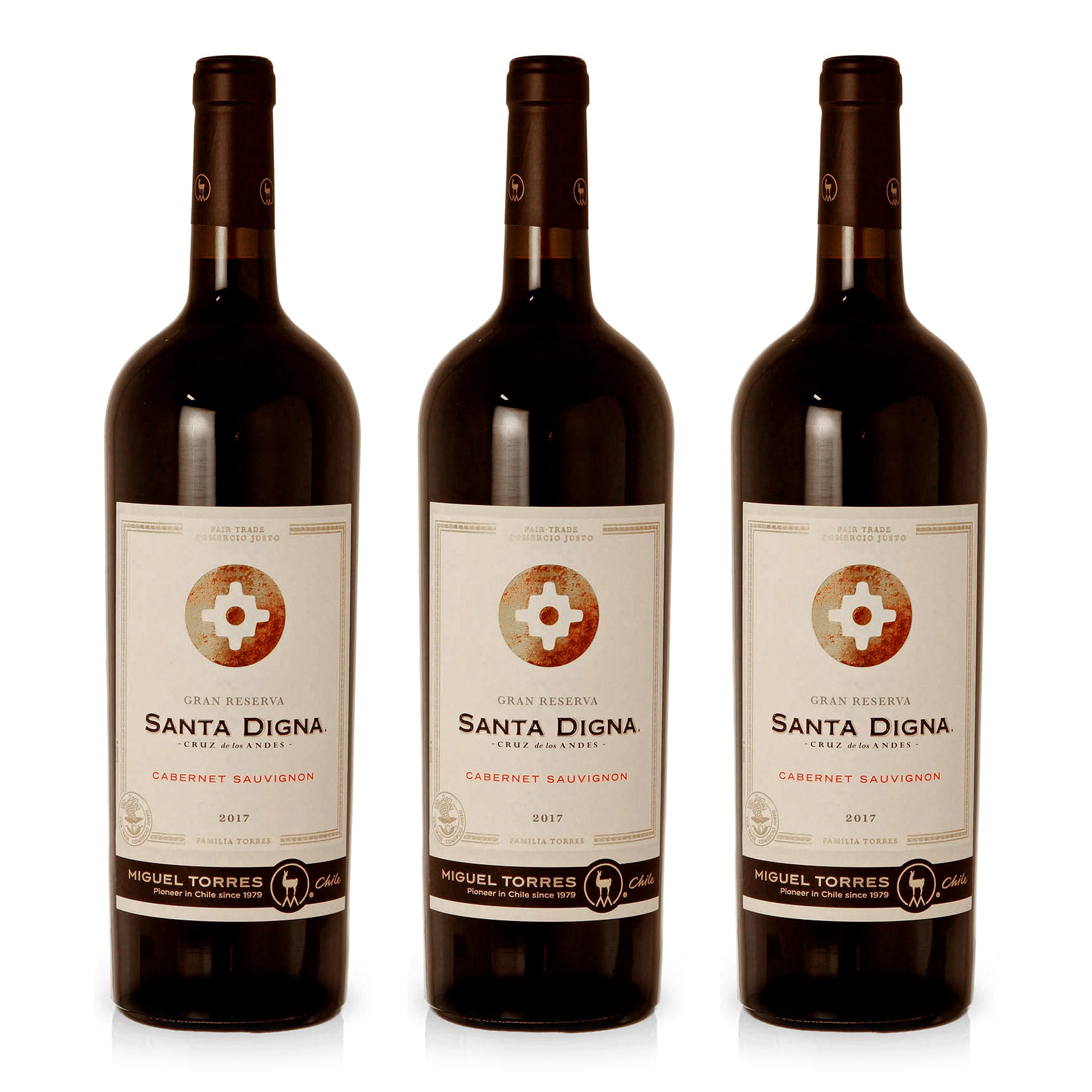 2017 Santa Digna Cabernet Sauvignon Reserve Magnum - Miguel Torres