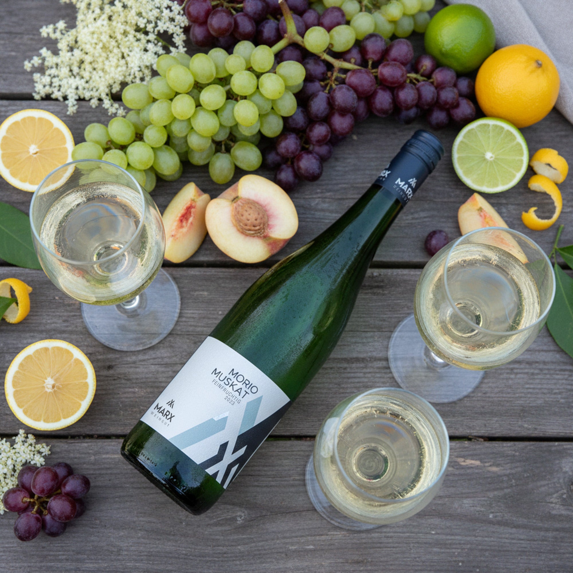 2023 Morio Muskat delicately fruity | Weingut Marx