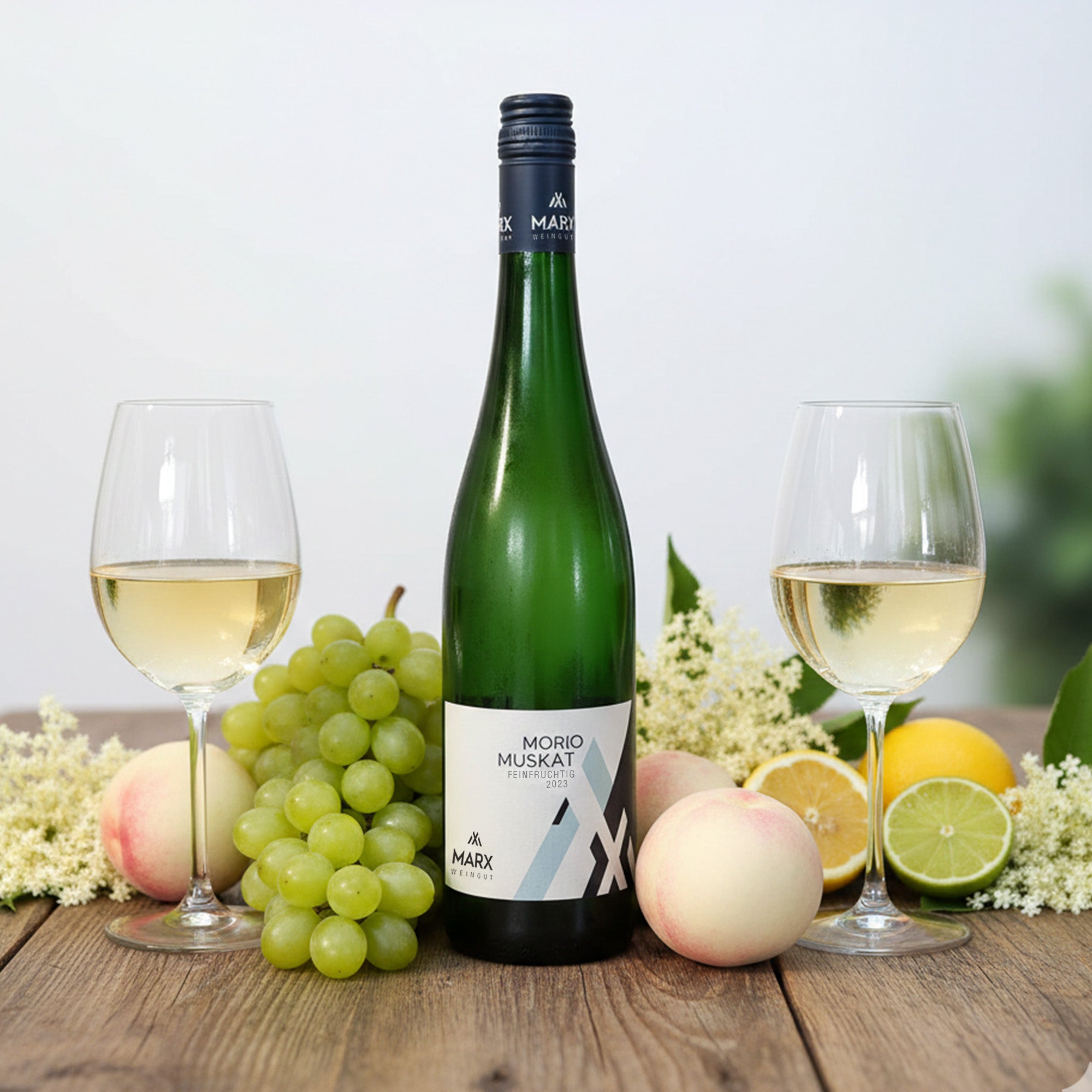 2023 Morio Muskat delicately fruity | Weingut Marx