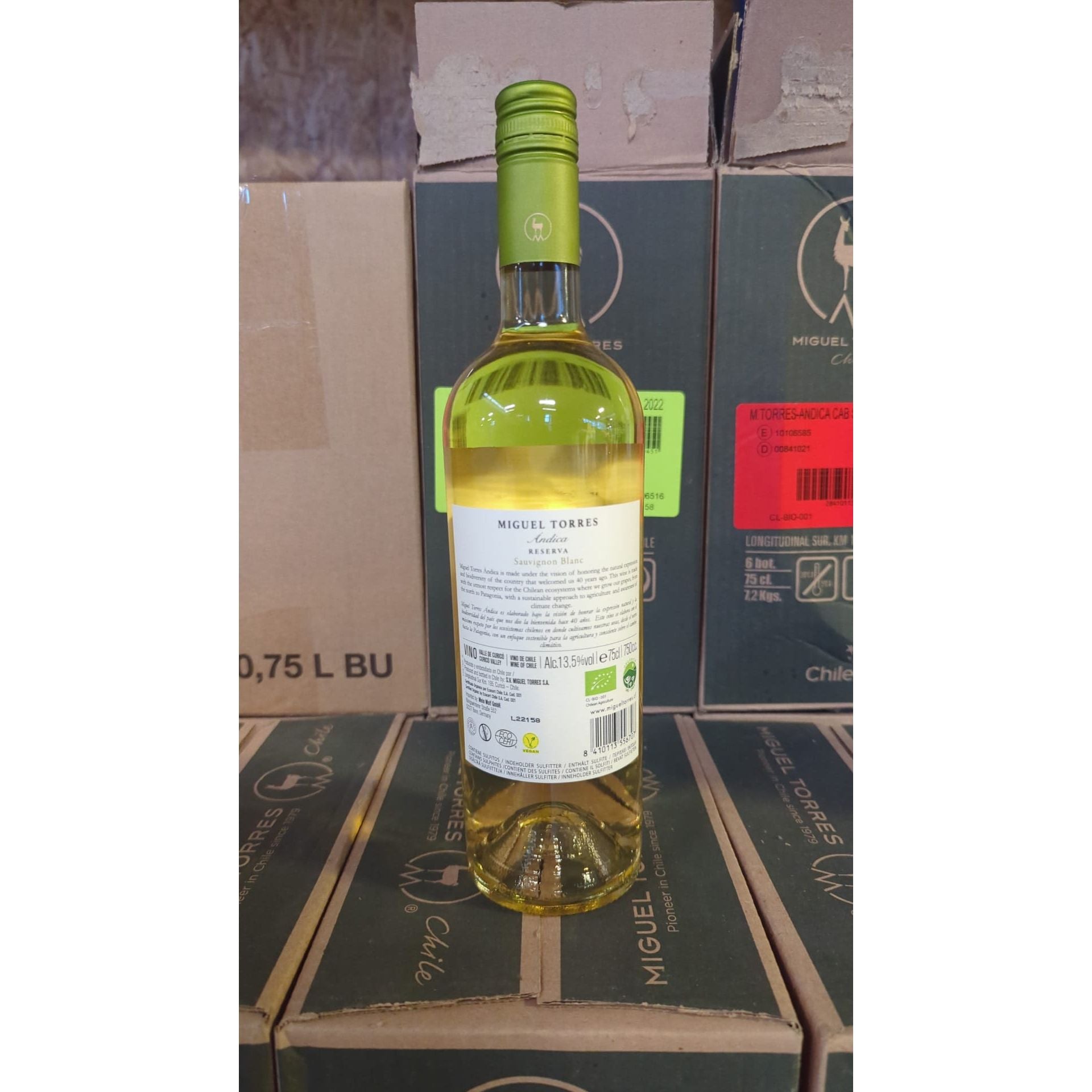 Andica Sauvignon Blanc Reserva - Miguel Torres Chile - Weißwein - Chile - Valle Central - Bio