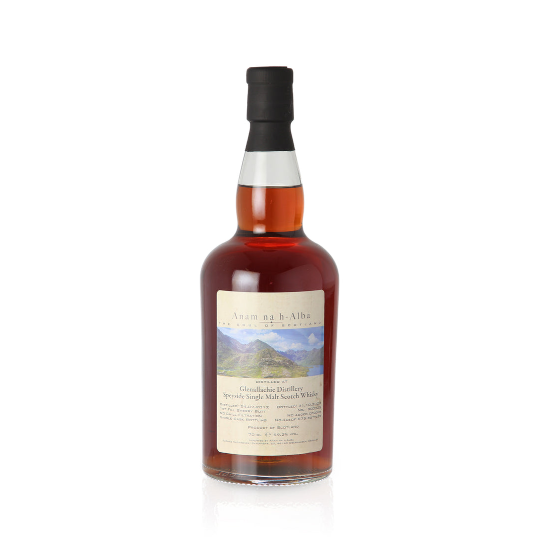Glenallache 1st Fill Oloroso Cask, 10 Jahre - Speyside Single Malt Scotch Whisky