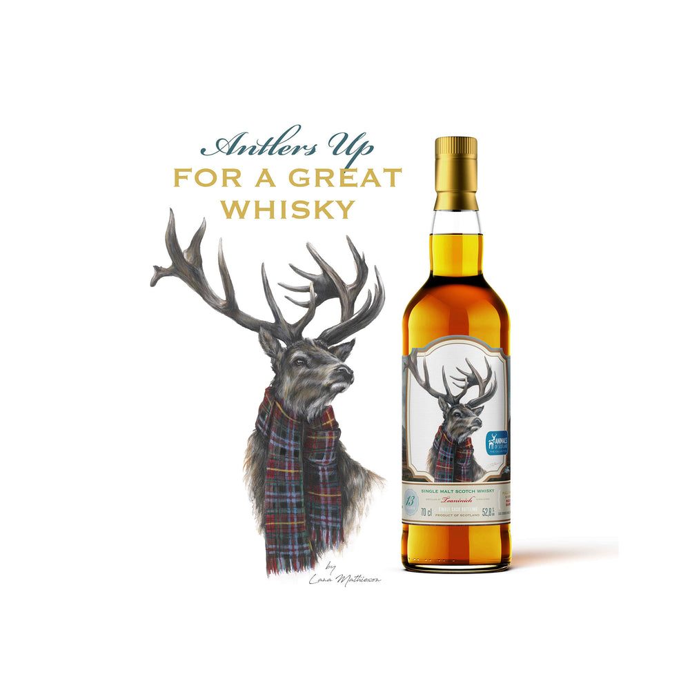 Teaninich 2011 - 13 Jahre - Red Wine Cask - Single Malt Scotch Whisky - The Caskhound