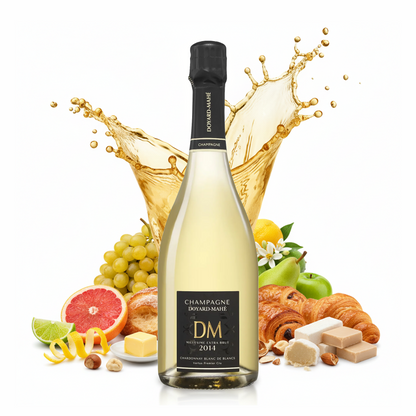 2014 Millésime Blanc de Blanc Extra Brut - Champagne Doyard Mahé - Champagne, France