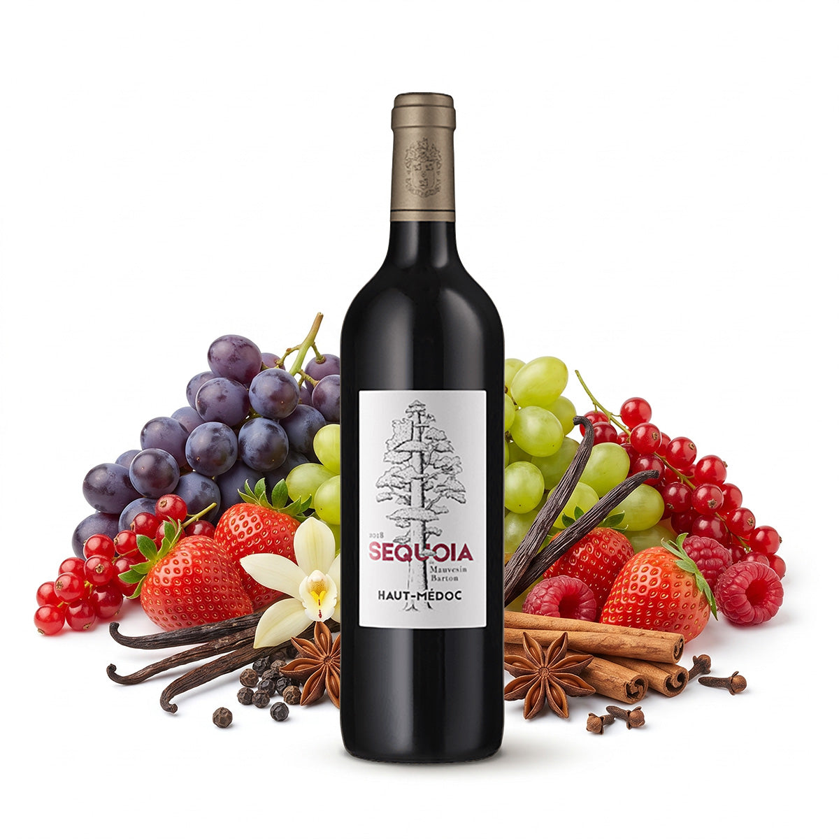 2016 Sequoia de Mauvesin Barton - Château Mauvesin Barton - Bordeaux, France