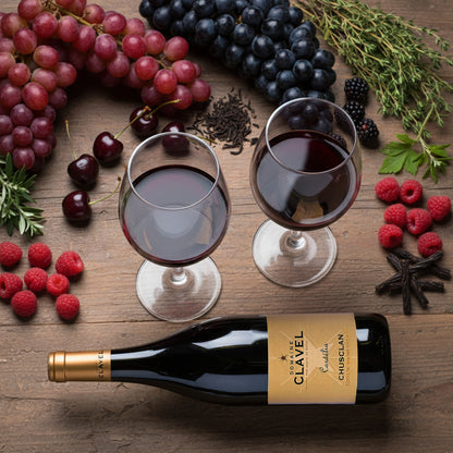 2017 Domaine Clavel Cotes du Rhone Villages Chusclan Cordelia - France