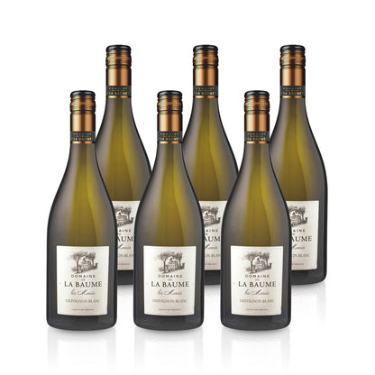 2024 Domaine de la Baume Les Maries Sauvignon Blanc - Frankreich
