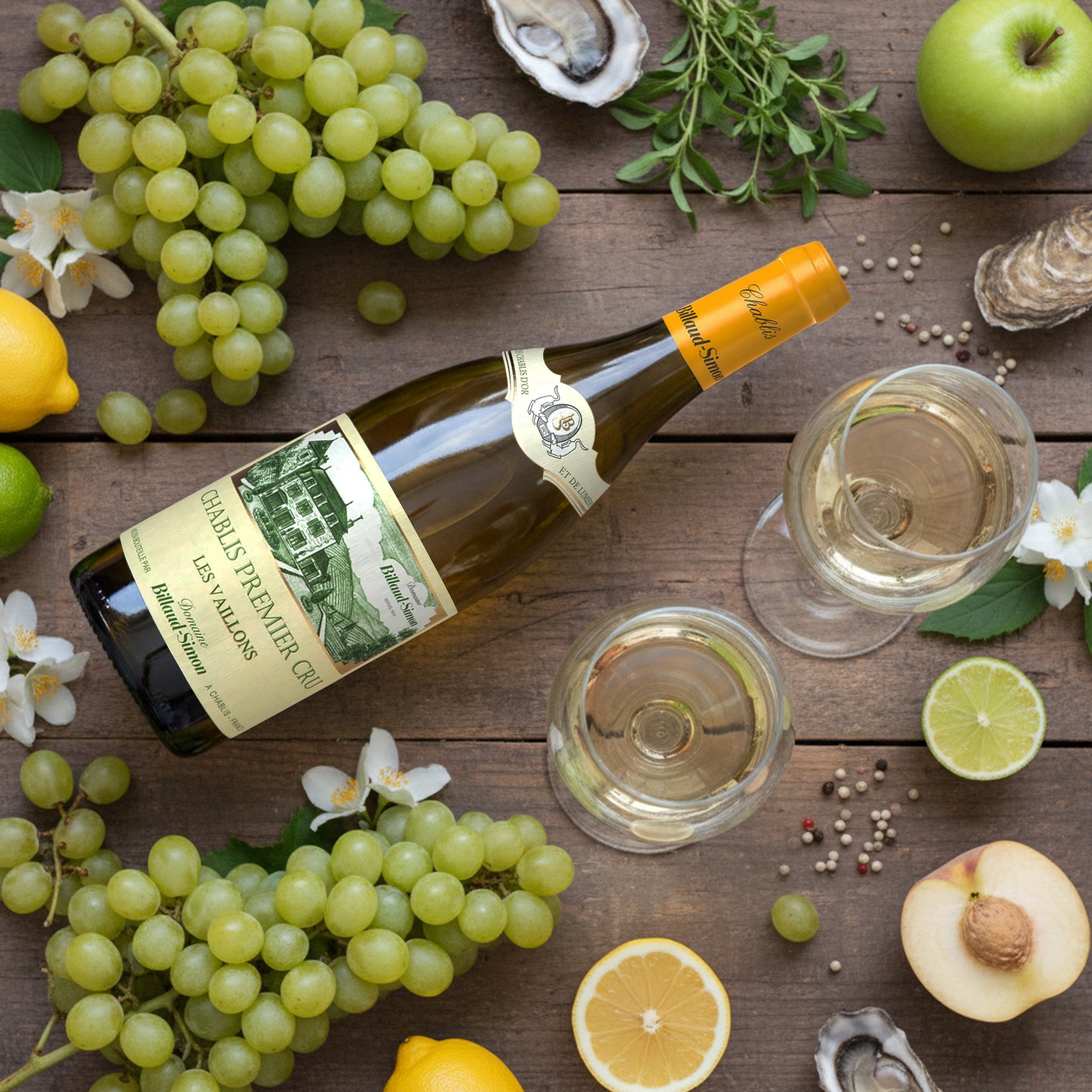 2021 Domaine Billaud-Simon Les Vaillons - France