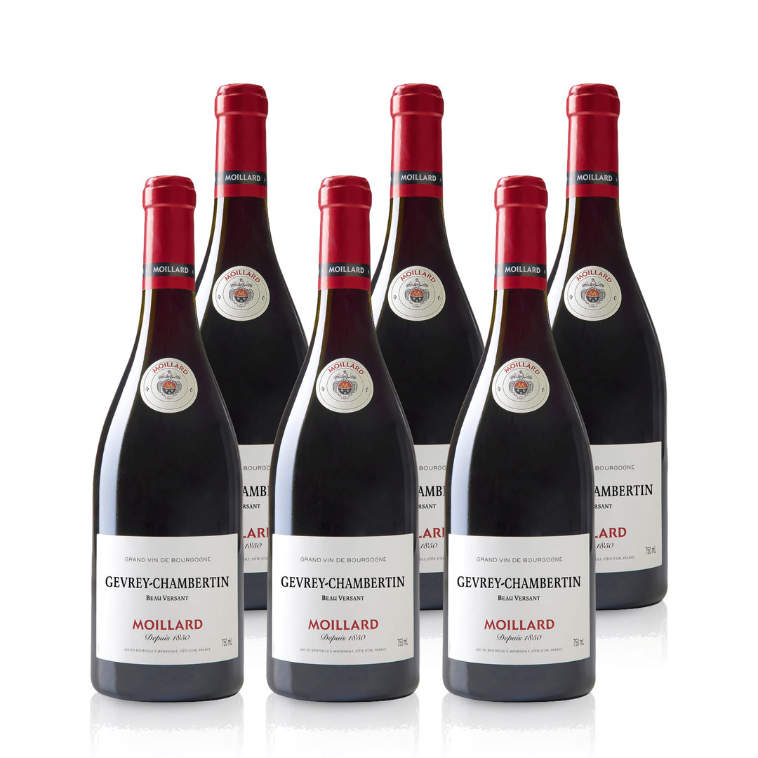 2020 Gevrey-Chambertin Beau Versant AOP