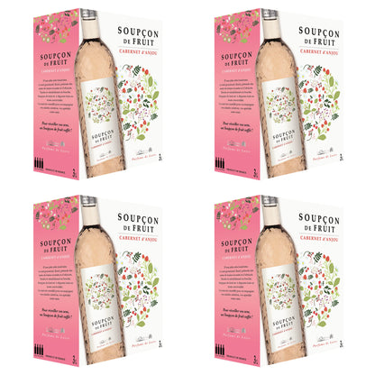 Cabernet d'Anjou Roséwein halbtrocken - Soupçon de Fruit -  LaCheteau, Frankreich - Bag-in-Box 3 l