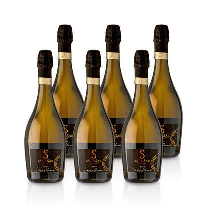 SALASAR The Excellence - Maison Salasar