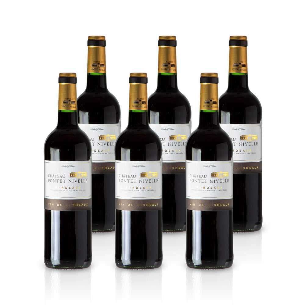 2020 Chateau Pontet Nivelle – France