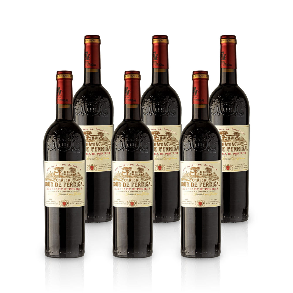 2021 Chateau Tour de Perrigal - France