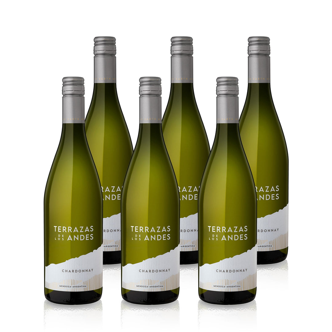 2023 Terrazas de los Andes Chardonnay - Mendoza