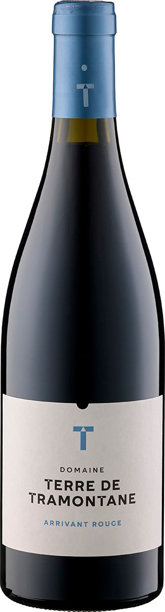 2020 Terre de Tramontane Arrivant Rouge AOP Languedoc Terre de Tramontane Languedoc-Roussillon/Frankreich 0,75 l
