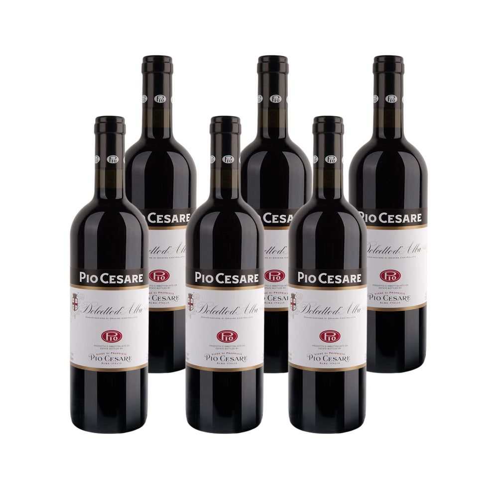 2021 Dolcetto d'Alba – Italy