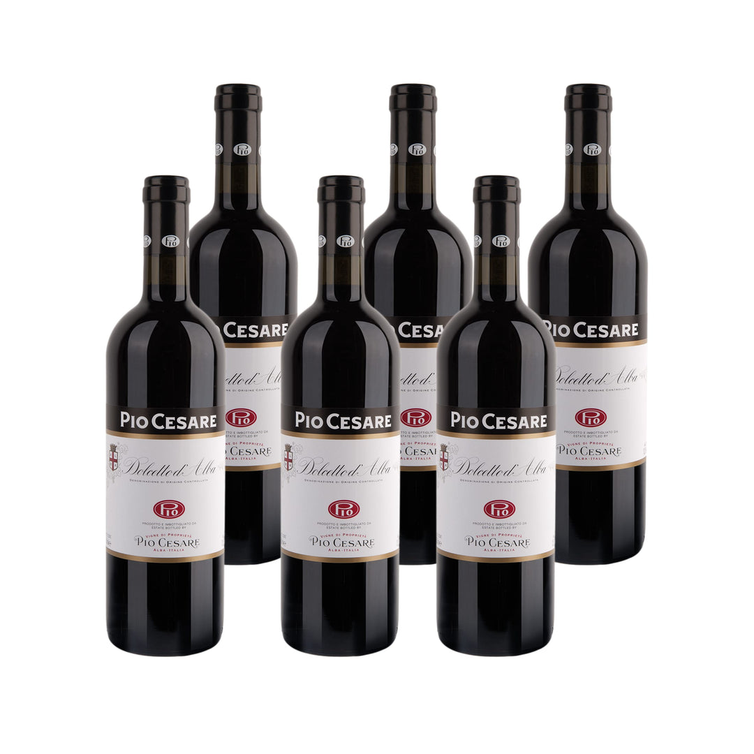 2021 Dolcetto d'Alba – Italy