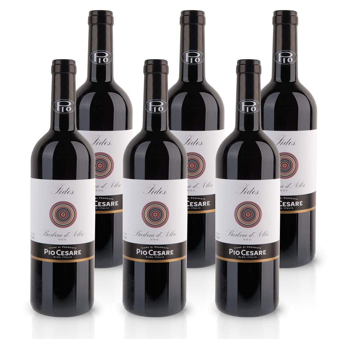 2021 Fides Barbera d'Alba – Italien