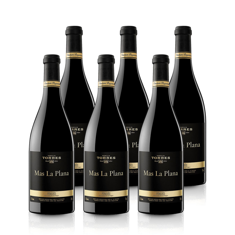 2019 Torres Mas La Plana Cabernet Sauvignon - Spanien