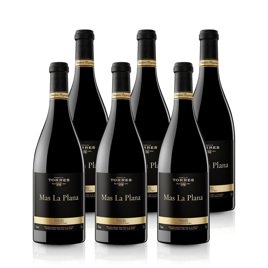 2019 Torres Mas La Plana Cabernet Sauvignon - Spanien