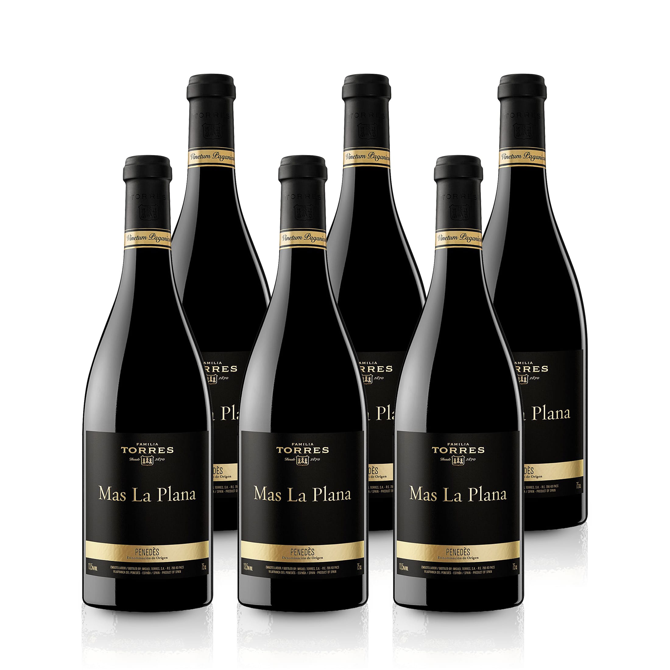 2019 Torres Mas La Plana Cabernet Sauvignon - Spanien