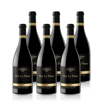 2019 Torres Mas La Plana Cabernet Sauvignon - Spanien