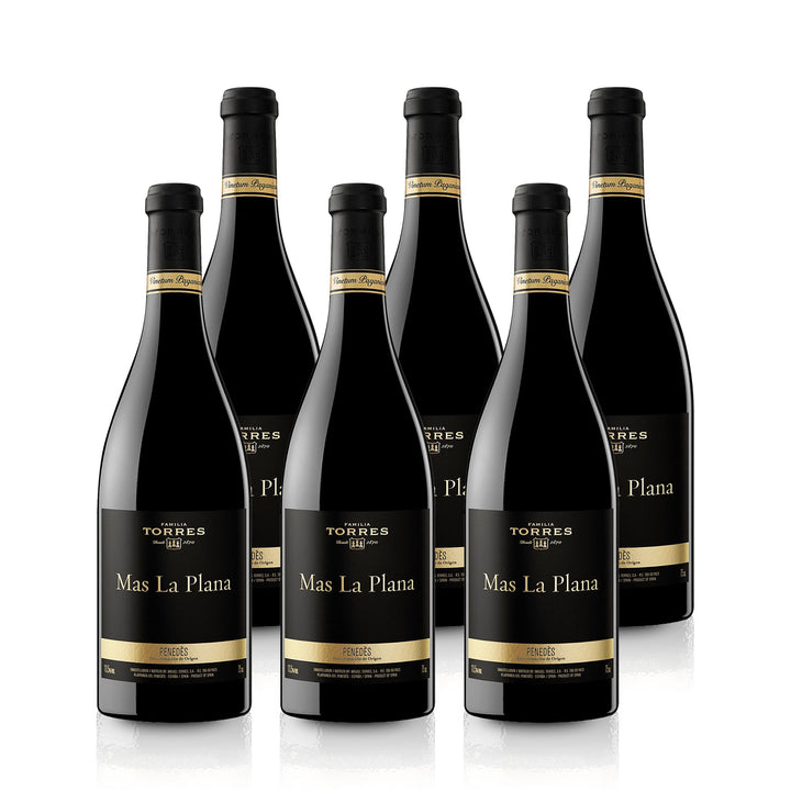 2019 Torres Mas La Plana Cabernet Sauvignon - Spanien