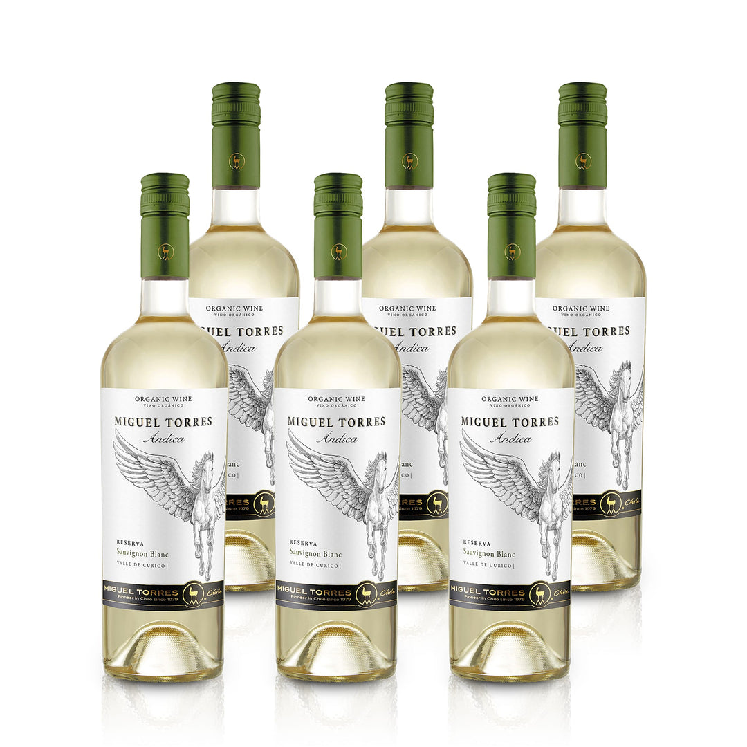 Ándica Sauvignon Blanc Reserva – Chile – Valle Central (Curicó) – Bio