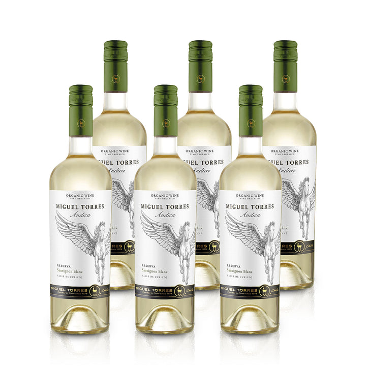Ándica Sauvignon Blanc Reserva – Chile – Valle Central (Curicó) – Bio
