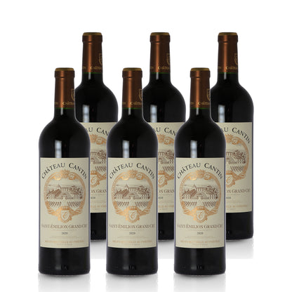2020 Château Cantin Saint-Emilion Grand Cru AOP Bordeaux