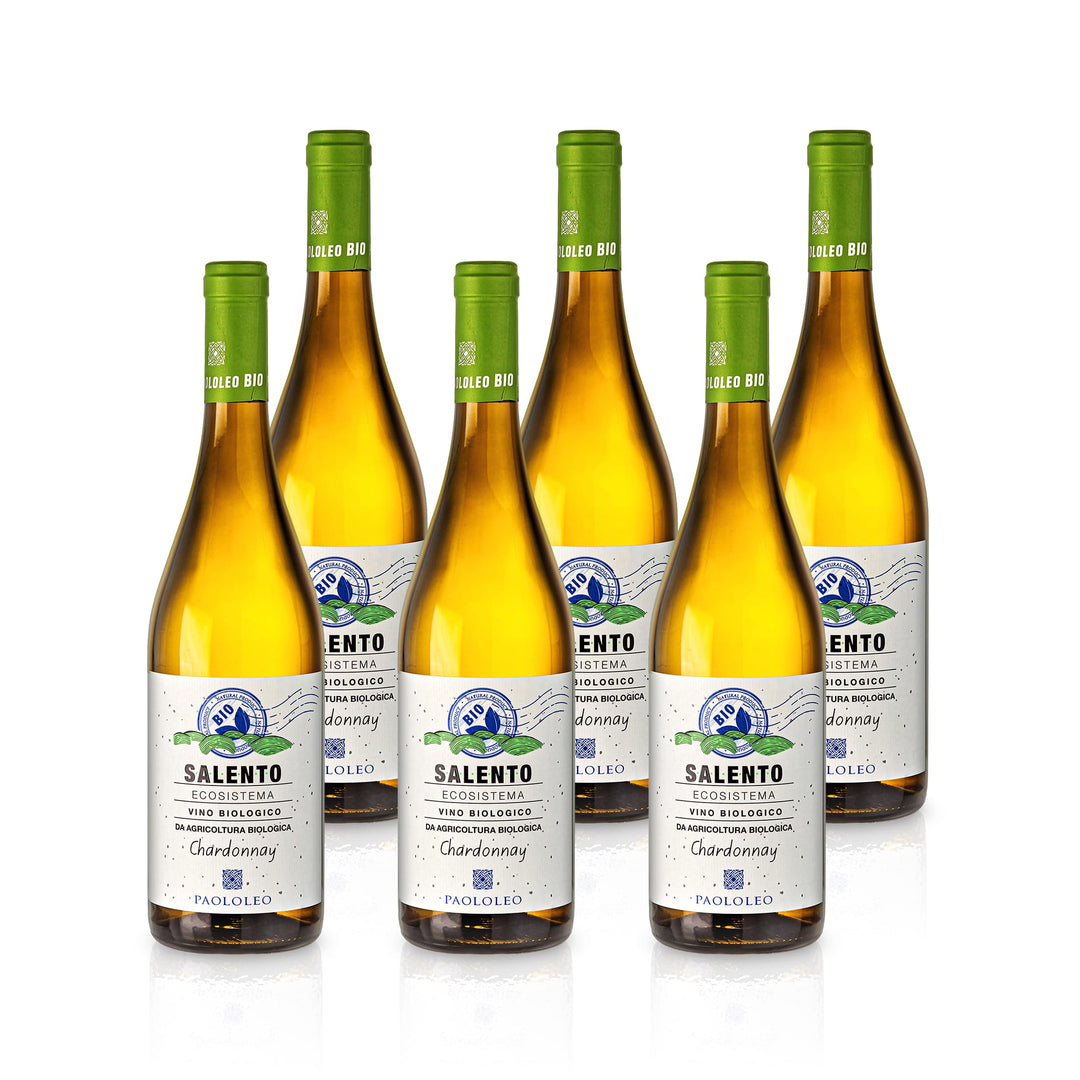 2019 Ecosistema Chardonnay Salento IGT Bio trocken