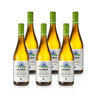 2019 Ecosistema Chardonnay Salento IGT BIO - Paolo Leo (trocken)