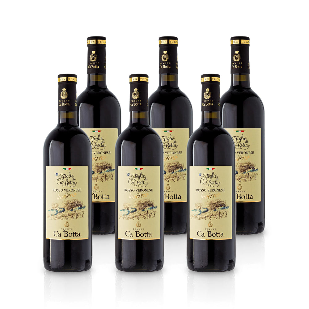 2018 Ca' Botta 'Inverno' Rosso delle Venezie – Italien