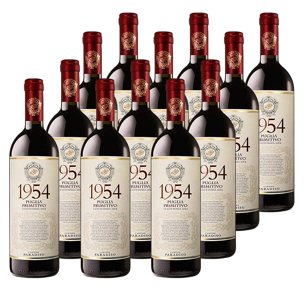 Cantine Paradiso 1954 Primitivo 2021 12 Flaschen Rotwein 0,75L 15% vol