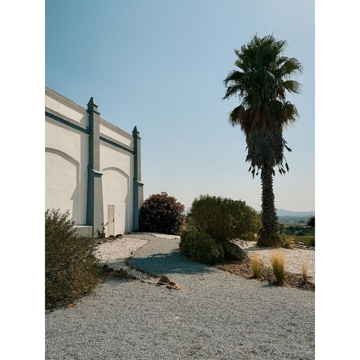 2024 Dancing Grapes – Rosé – Alentejo, Aliestre Vineyards
