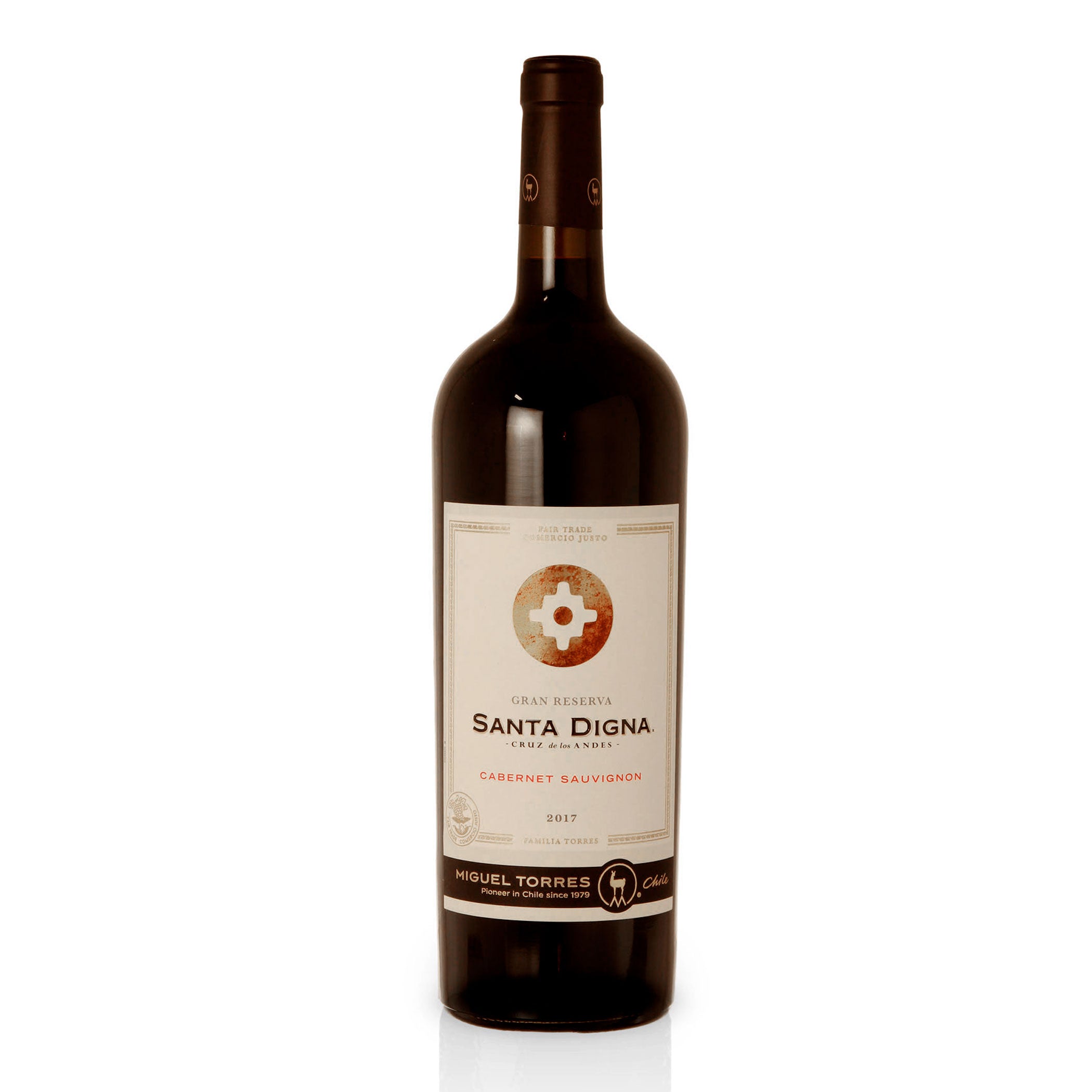 2017 Santa Digna Cabernet Sauvignon Reserve Magnum - Miguel Torres